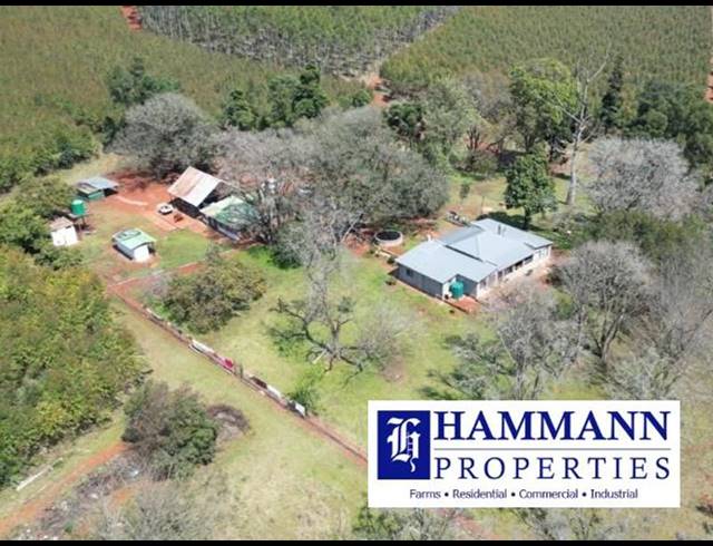 FARM FOR SALE IN LOUIS TRICHARDT RURAL